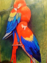 MACAWS