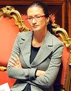 [GELMINI--140x180.JPG]