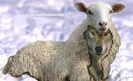 pseudo+sheep.jpg