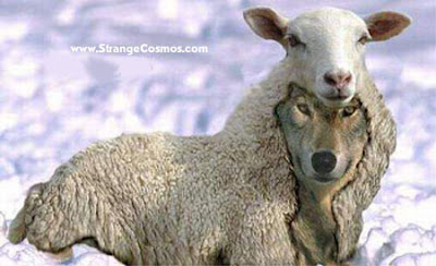 Mormonism is a wolf in sheep's clothing... SEARCH THE SCRIPTURES (John 5:39)