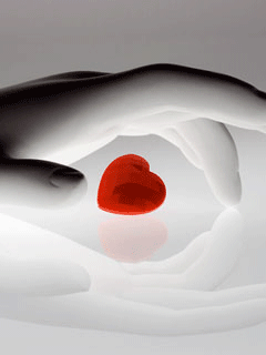 nddji andds ridder gif image - panji nursetiawan