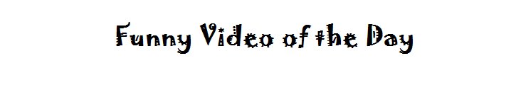 Funny Videos