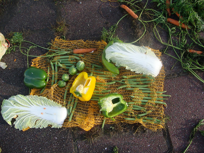 Vegetable Painting on The Water