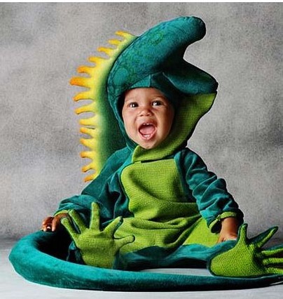 Cute baby like green lizard dressing picture