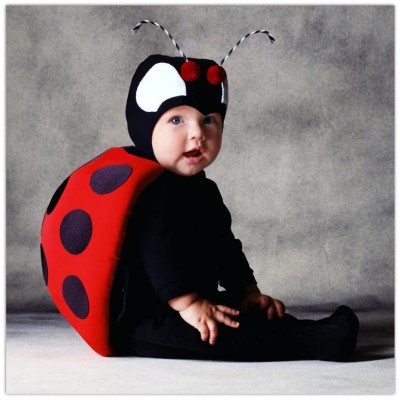 Cute baby like insect dressing picture