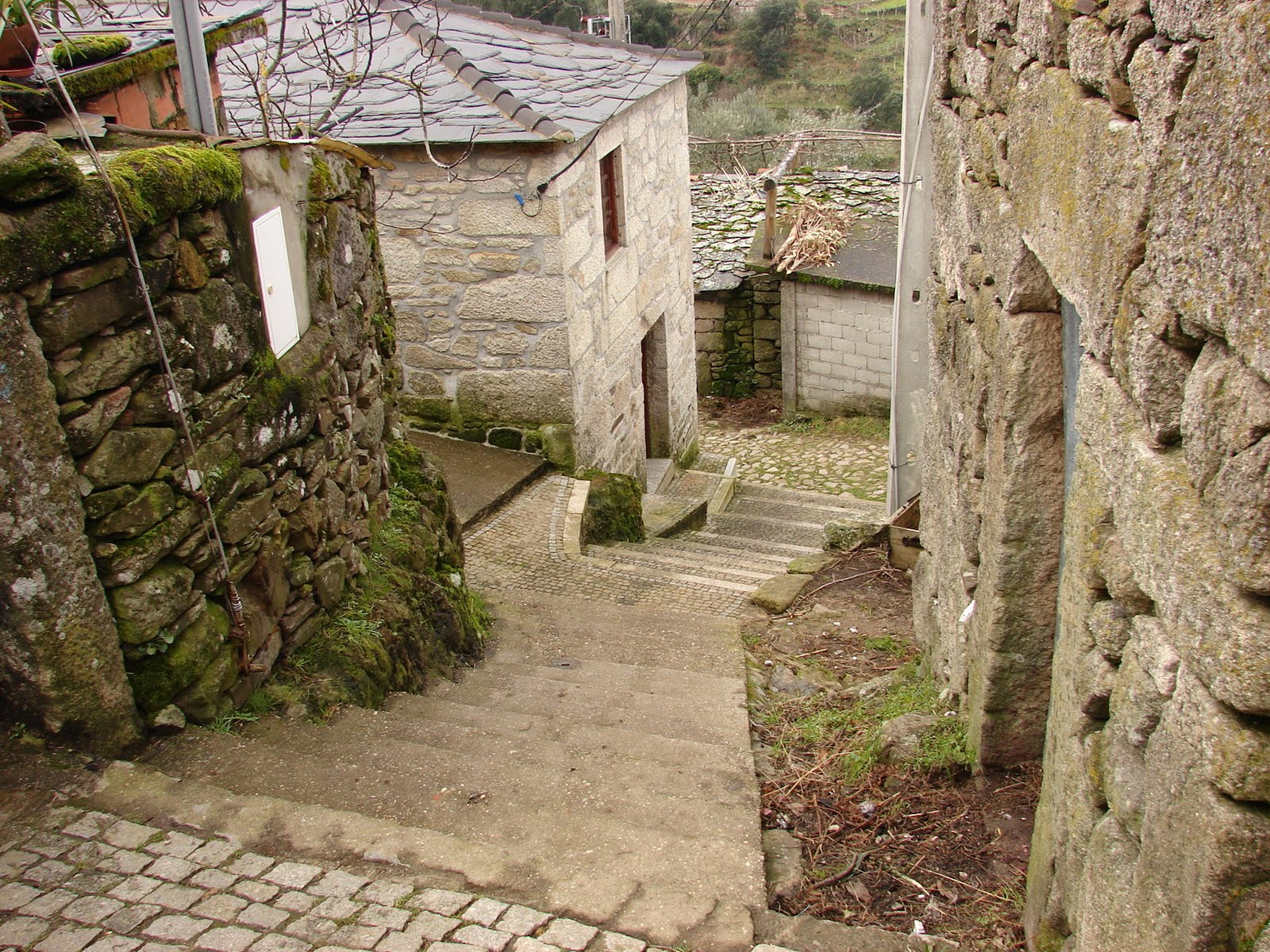 [DSC06736.JPG]