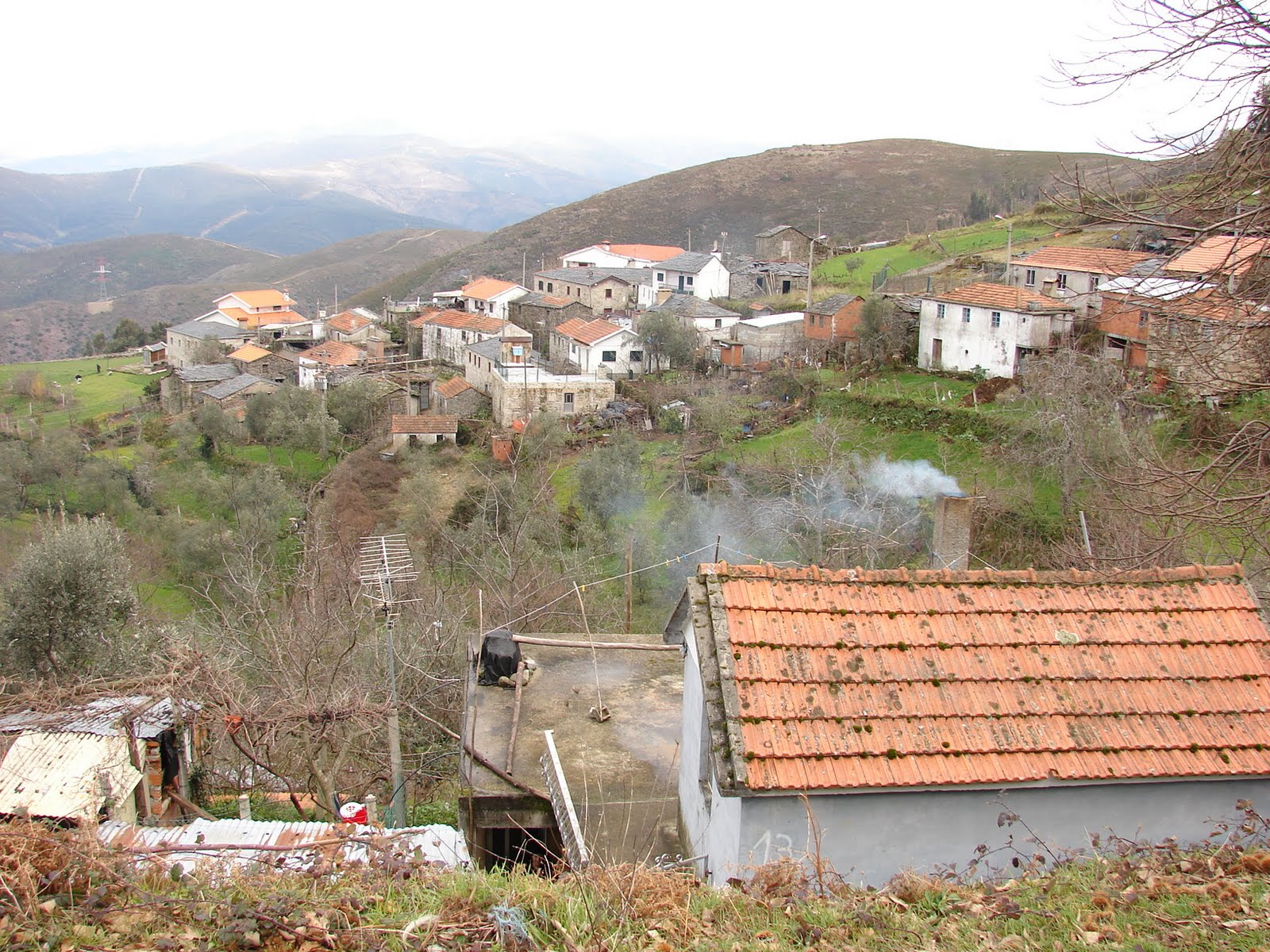 [DSC06735.JPG]