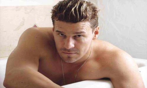 David Boreanaz Bio