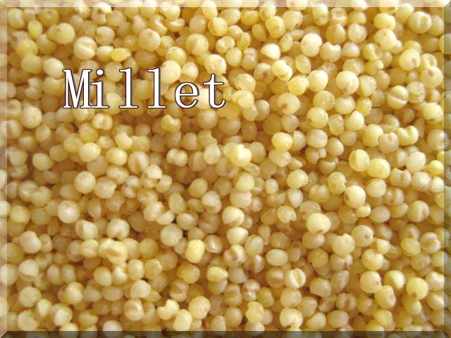 What Is Millet