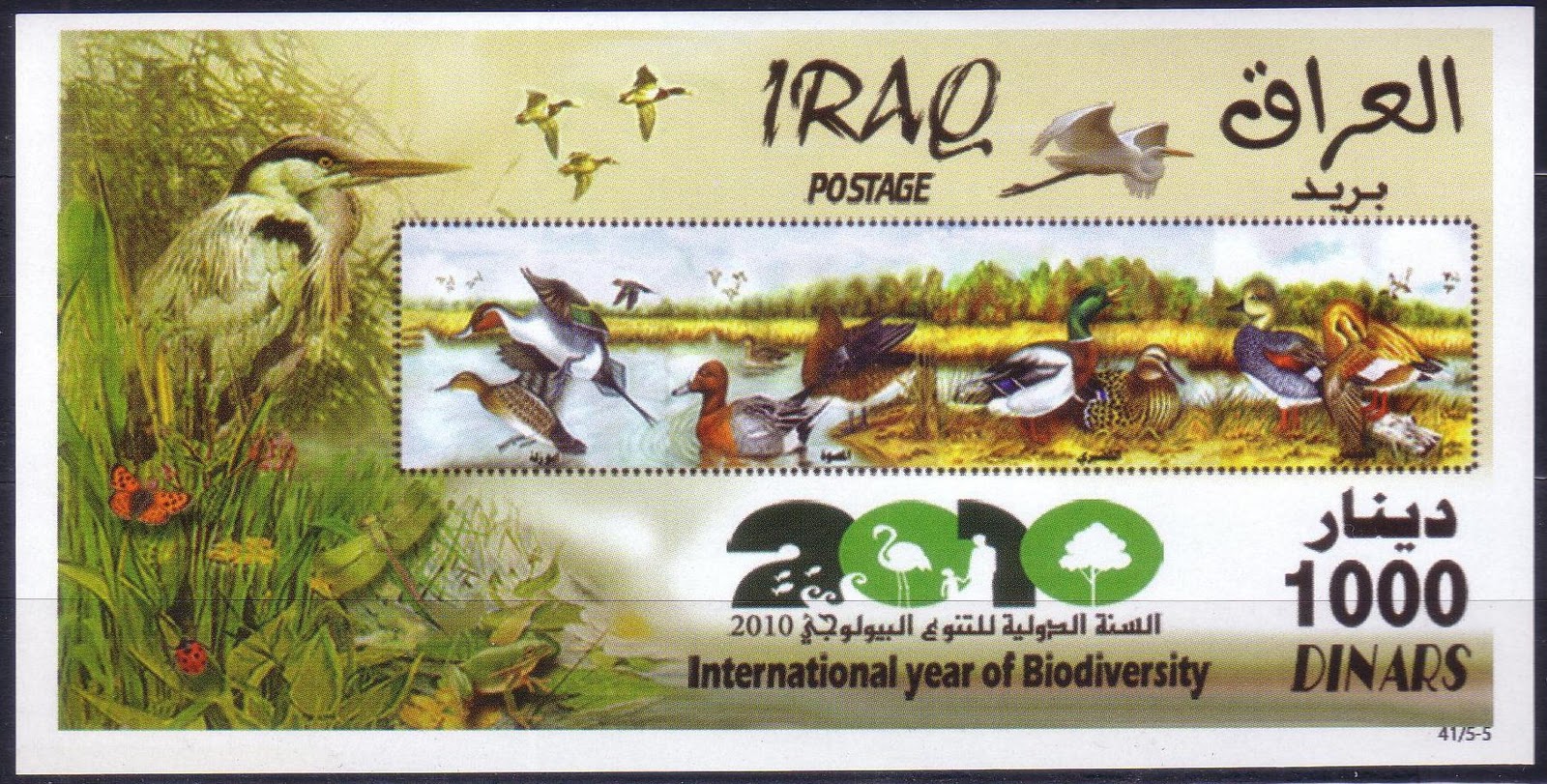 Iraq Animals