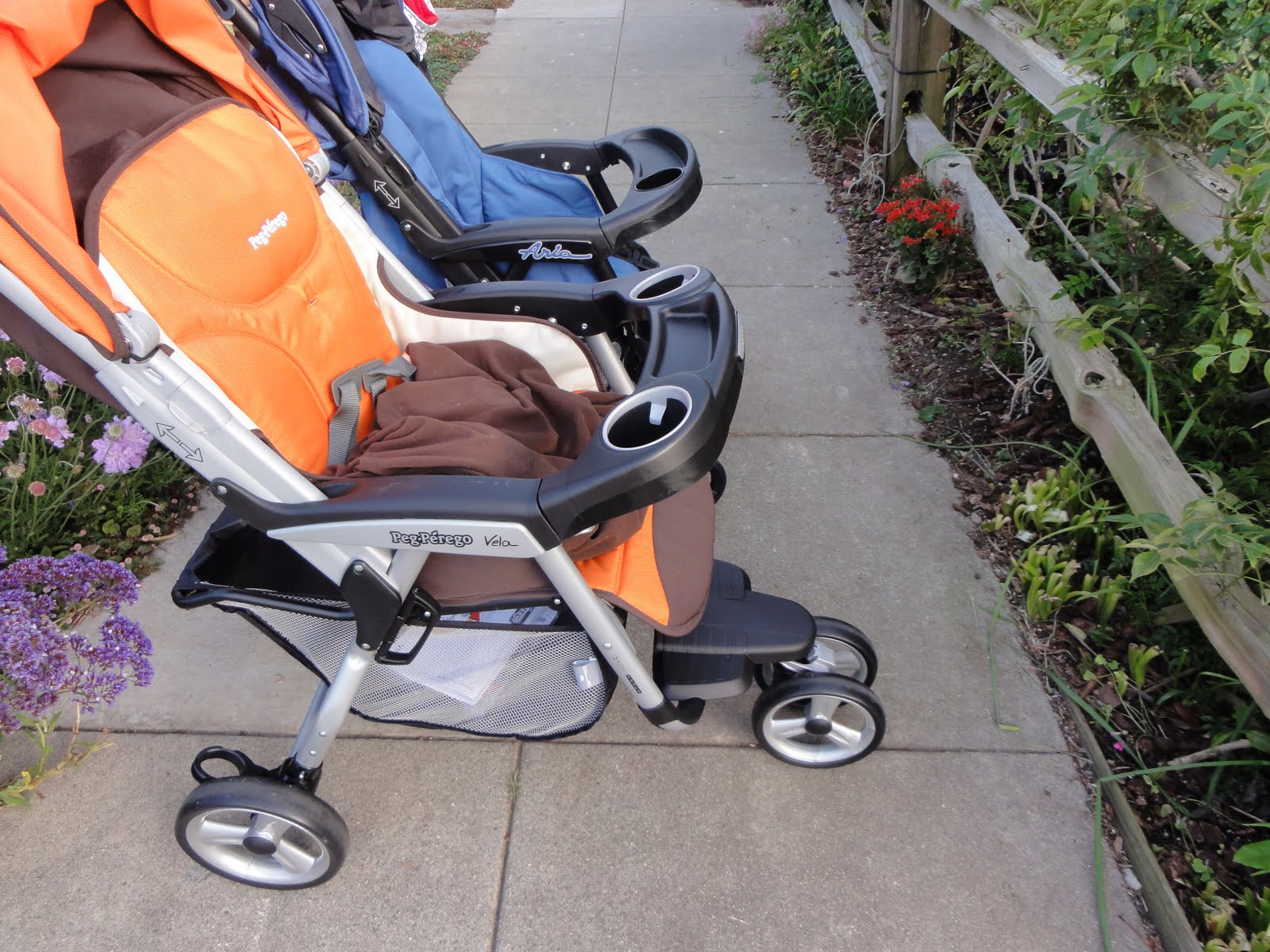 peg perego vela