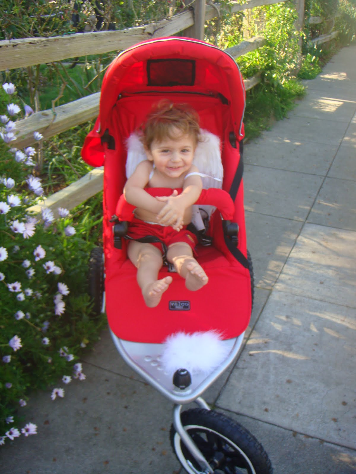 [Boy+Scout+Race,+Valco+Matrix+2010+063.JPG]