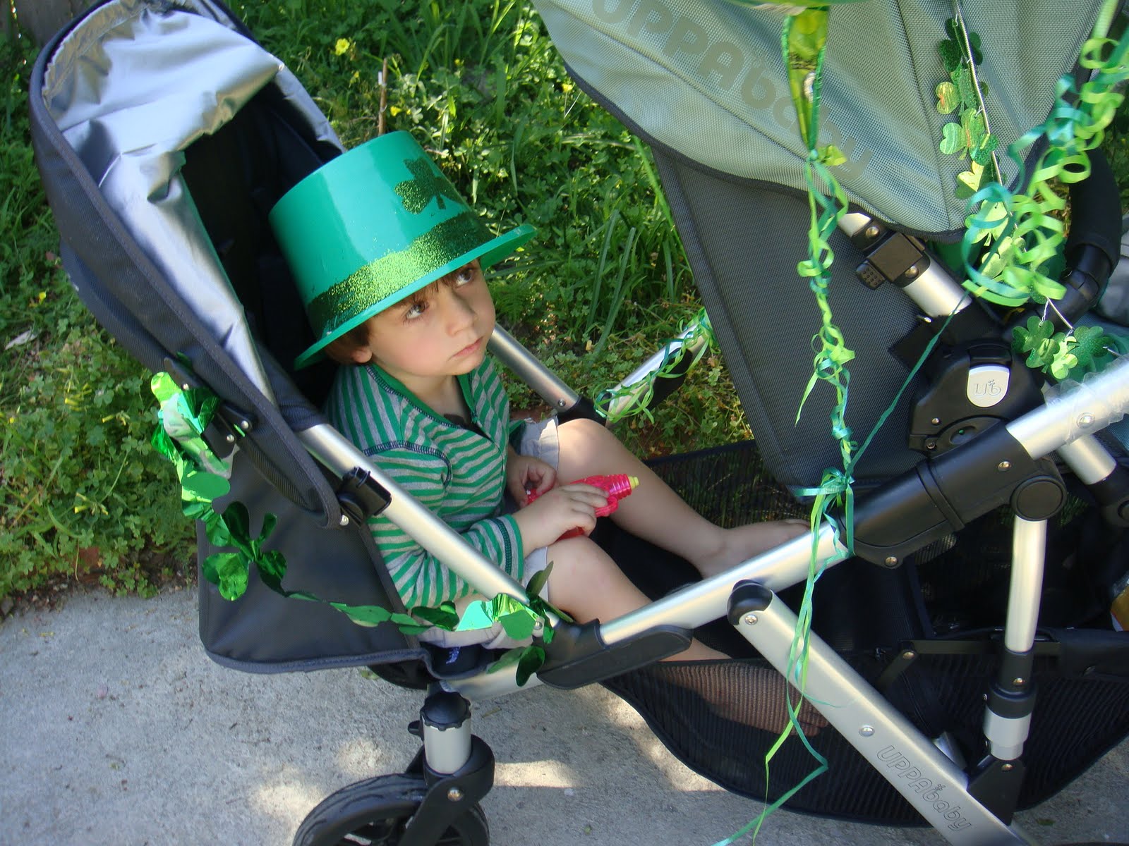 [UppaBabyVista,+Padraig+2nd+BDay+729.JPG]
