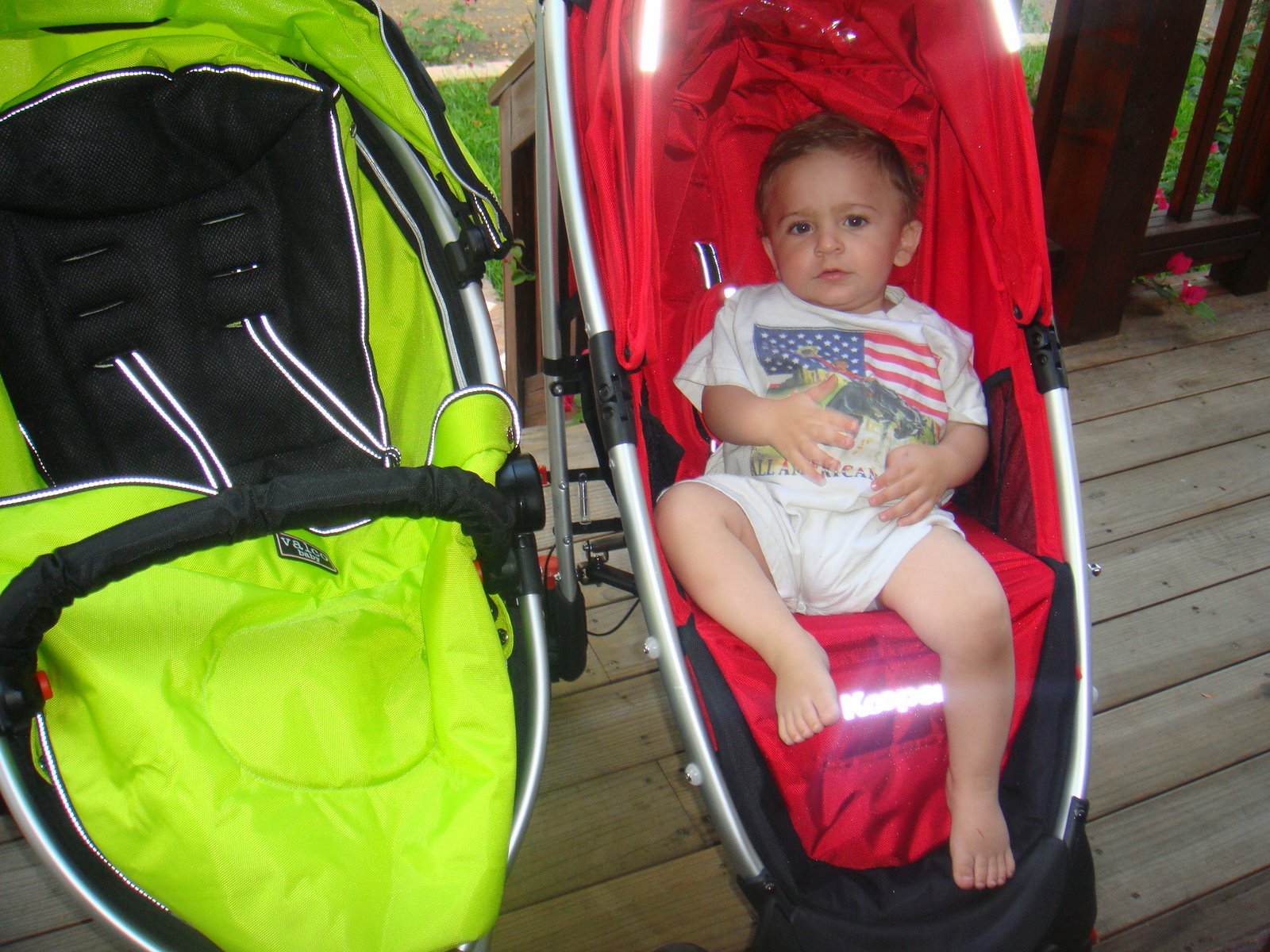 [Buggster+and+Kooper+comparison+022.JPG]