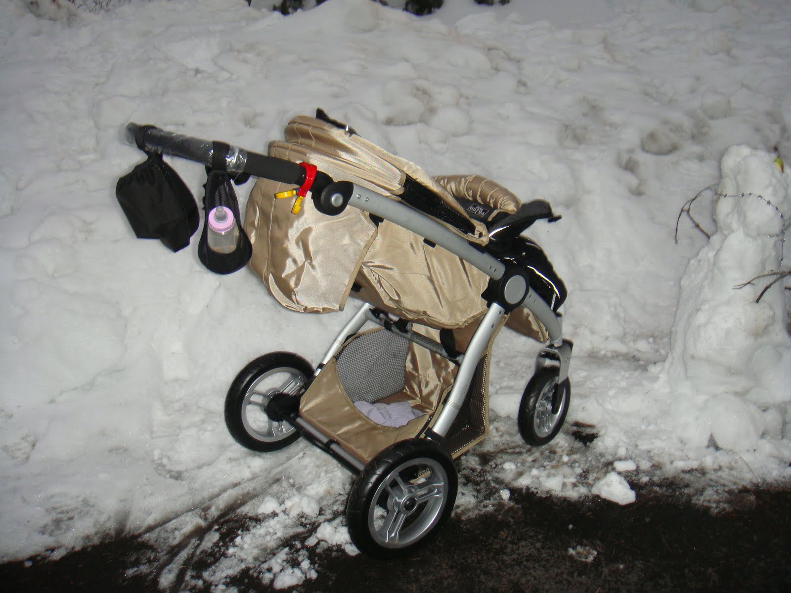 [Inglesina+Transporter+and+2009+666.JPG]
