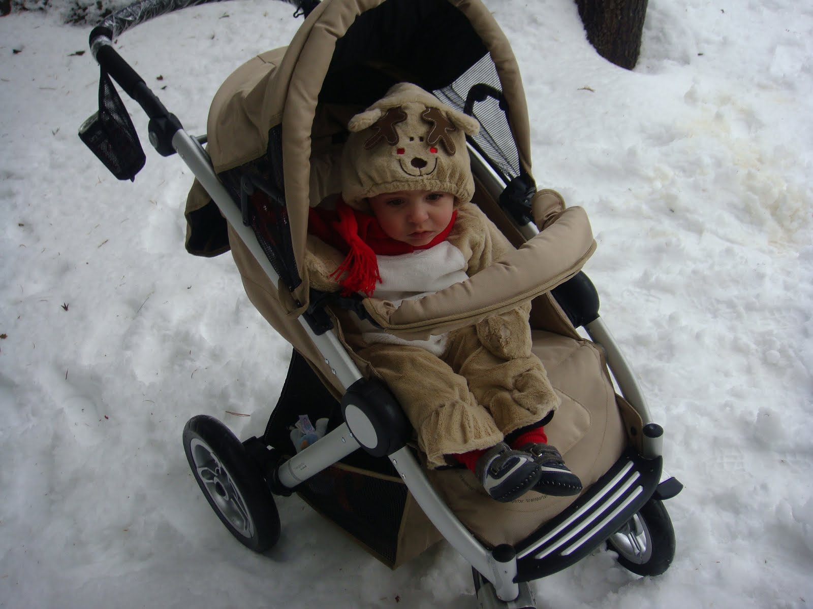 [Inglesina+Transporter+and+2009+643.JPG]