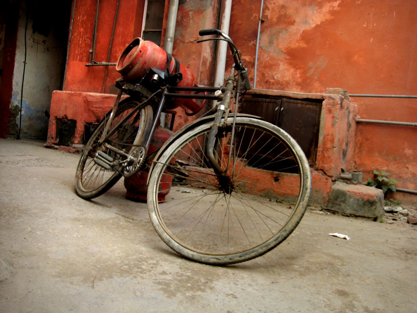 [IMG_4246..jpg]