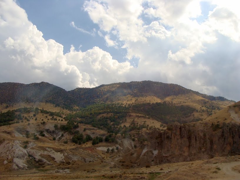 [DSC08579.JPG]