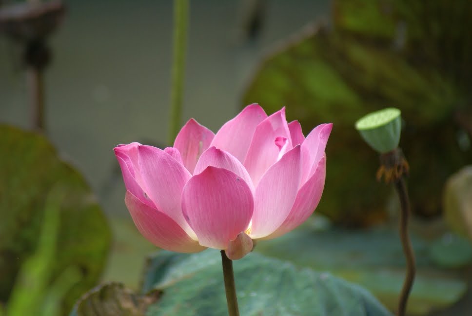 [DSC06526.JPG]