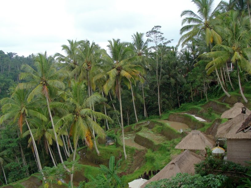 [DSC00561.JPG]