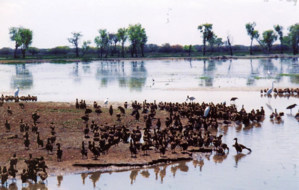 [03Almoço-Darwin.JPG]