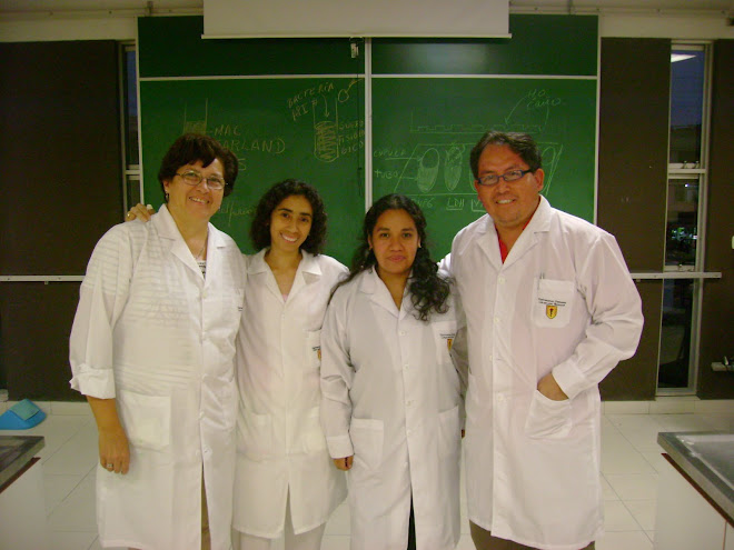 V CURSO PROCEDIMIENTOS EN MICROBIOLOGIA BASICA Y EXPERIMENTAL. U.P.C.H.