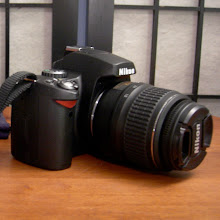 My Nikon D40