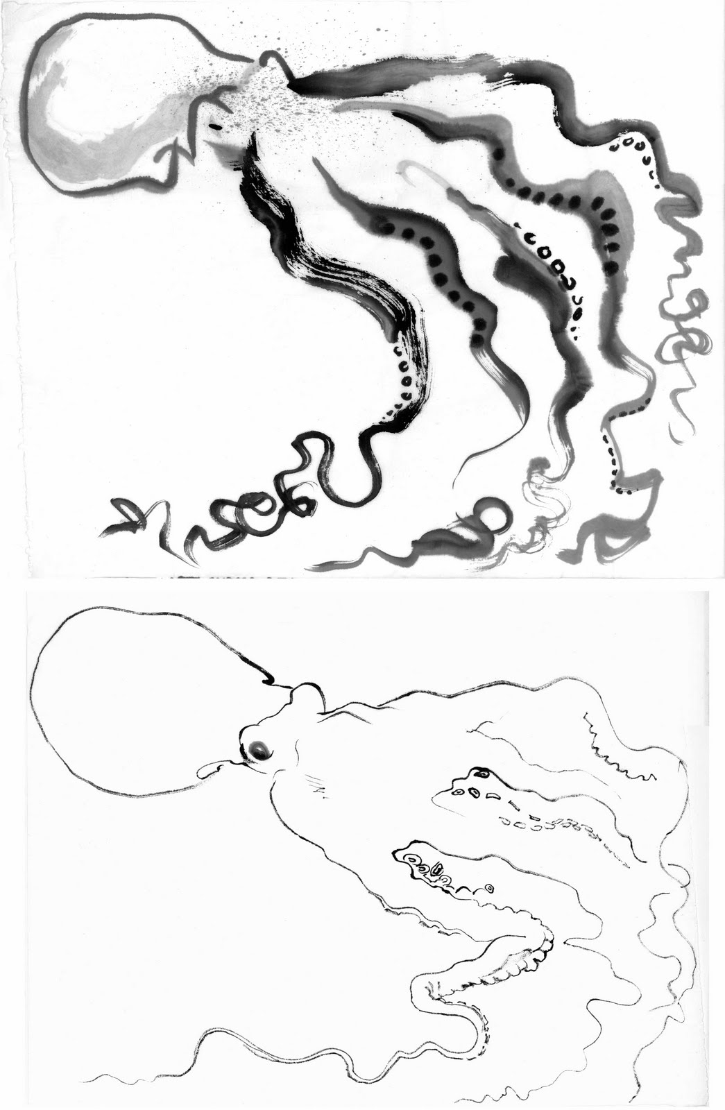 Drawings Of Octopuses