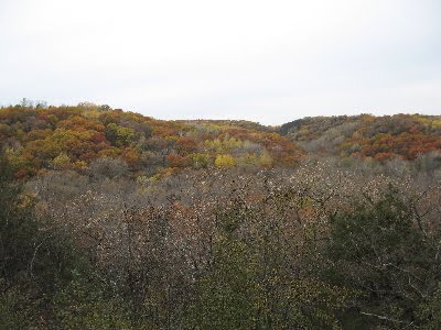 [IMG_4978]