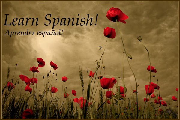 The Most Awesome Spanish Blog Ever Invented.
