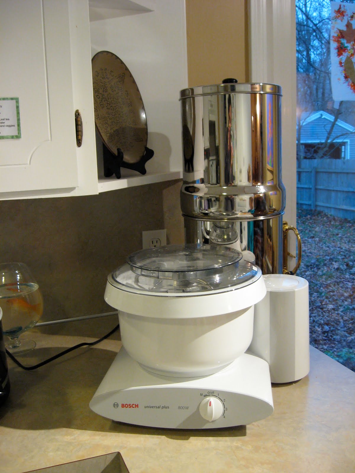 One Little Word She Knew: Bosch Mixer Review