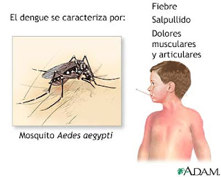 Campaña Publicitaria contra el dengue - Informate - Campaña Publicitaria contra el dengue - Informate -