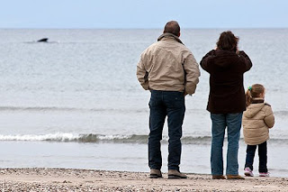 Whale Whatching from the beach Peninsula Valdes Patagonia Argentina Whale Whatching from the beach Peninsula Valdes Patagonia Argentina