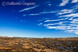 Nature photographer in Valdes Peninsula