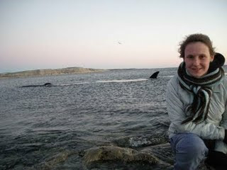whale whatching from the coast in Valdes Peninsula Puerto Piramides