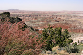 Painted Desert by lawhawk (c) 2008