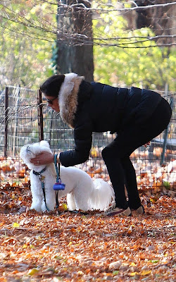 Catherine Zeta-Jones Walking her Dog in Central Park Pics
