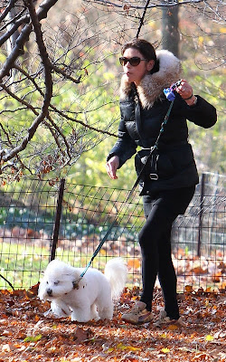 Catherine Zeta-Jones Walking her Dog in Central Park Pics