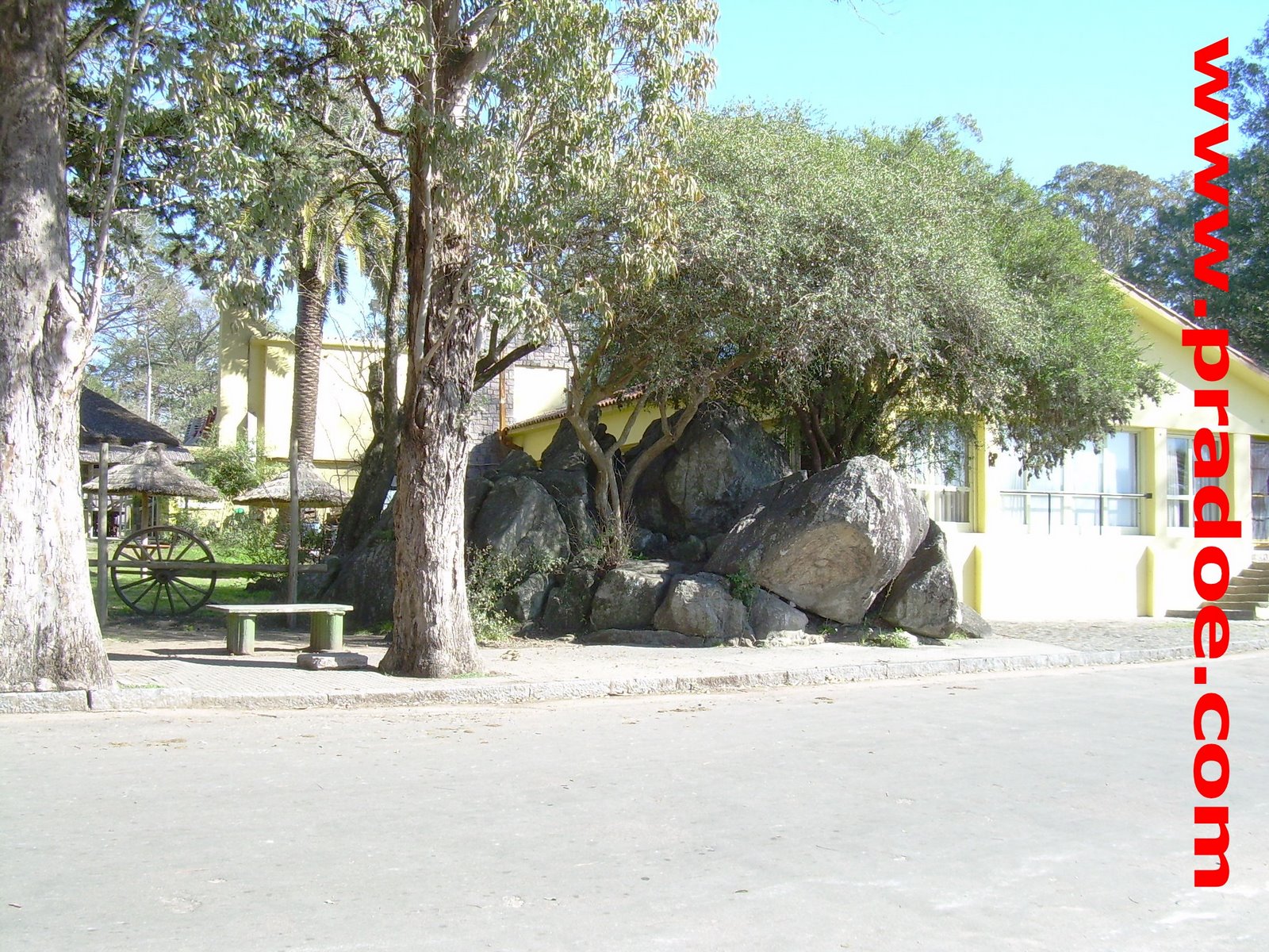 [DSCN3340.JPG]