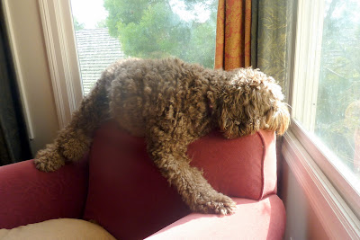 P1020129.JPG