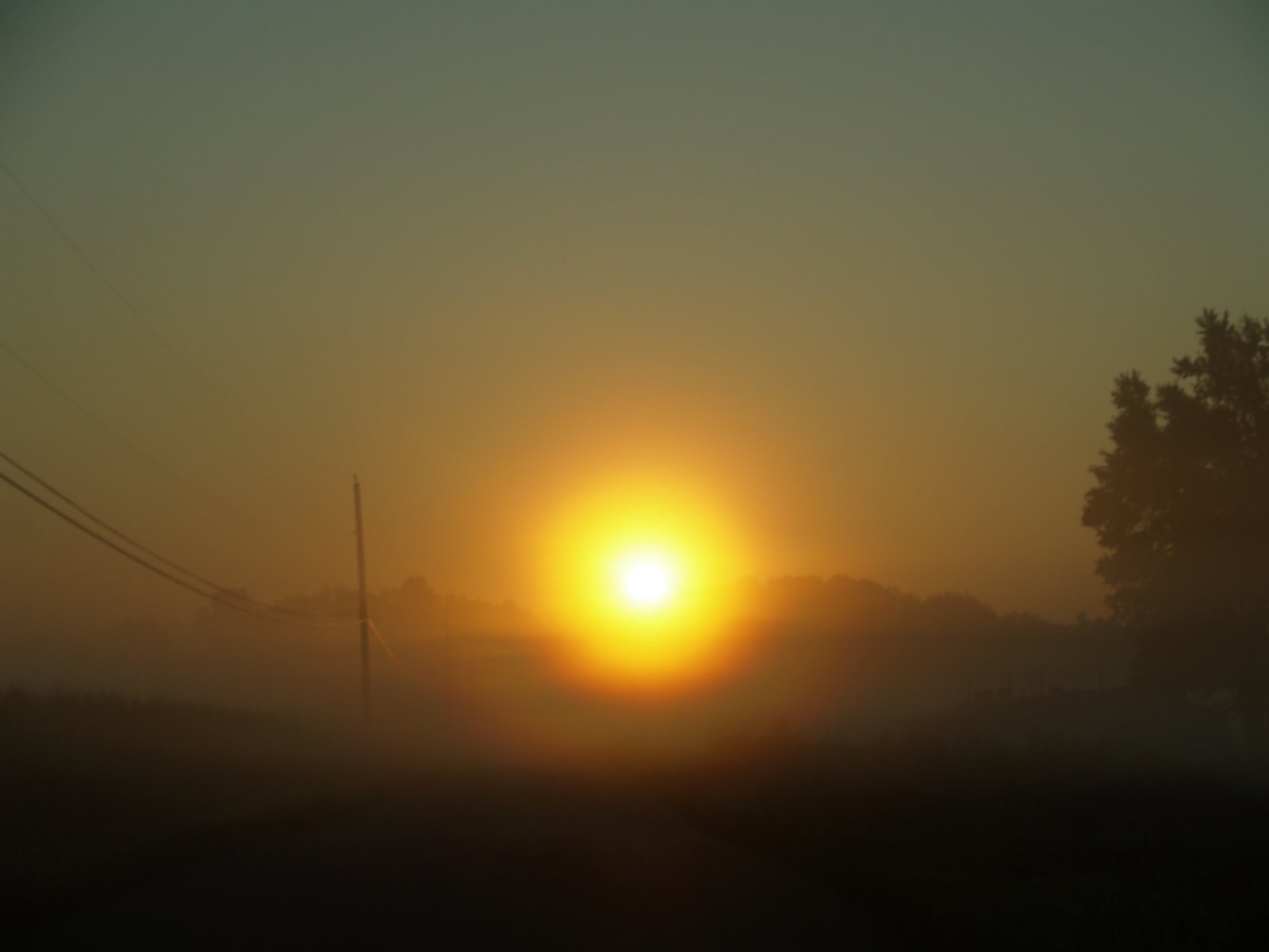 [P1016990.JPG]