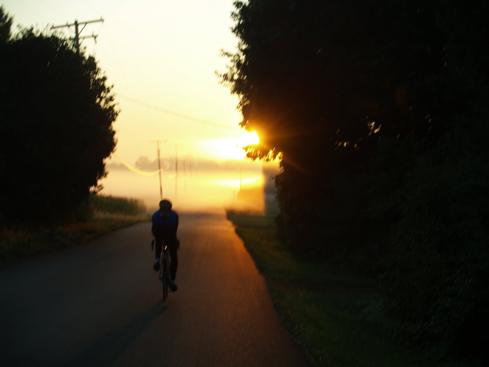 [P1016977.JPG]