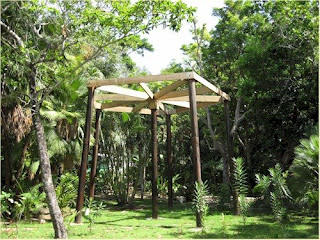 Photo of the platform for a treehouse