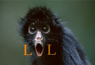 Click for My "BEST" LOL