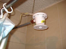 The Infamous Showerhead