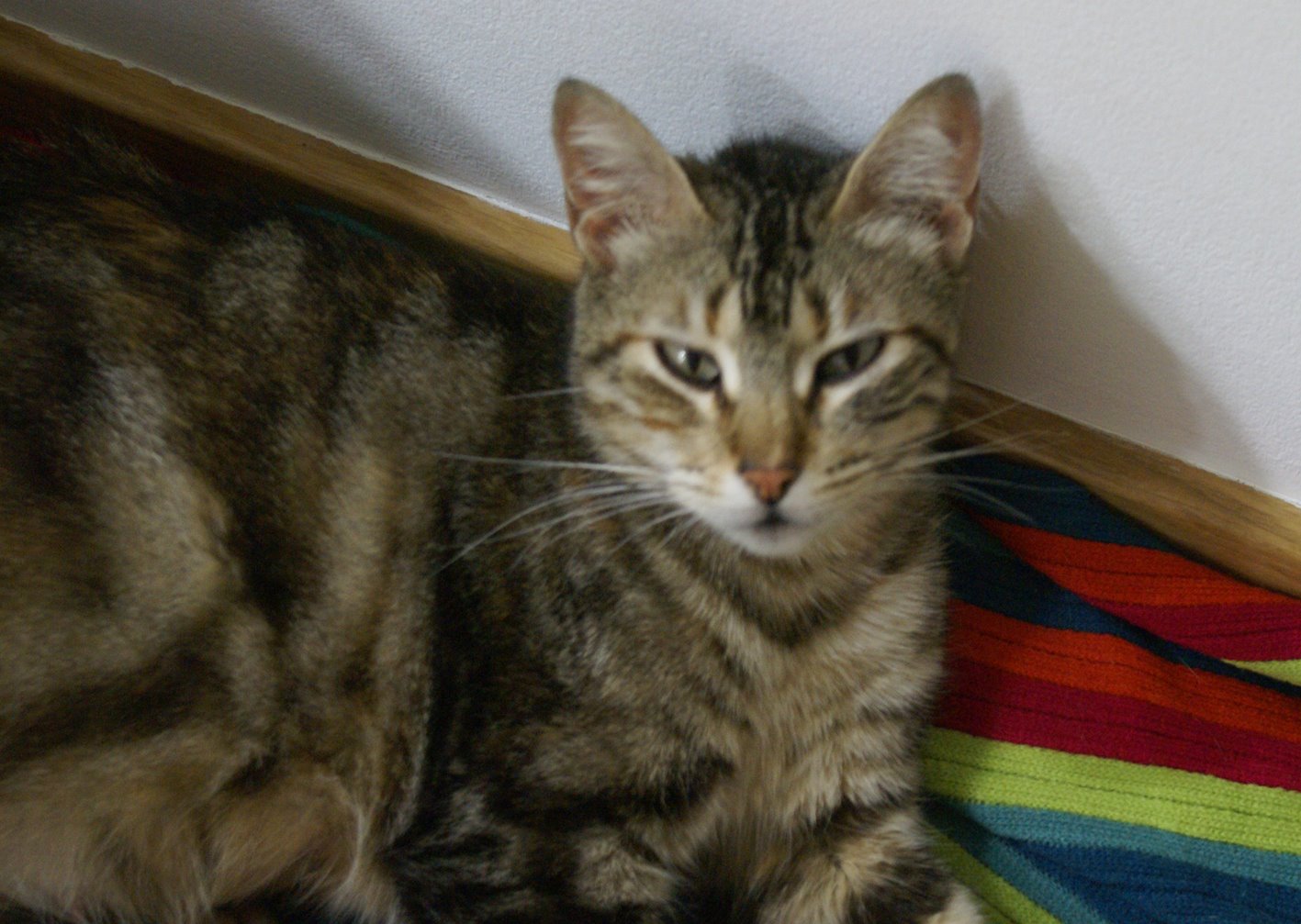 [DSC00136.JPG]
