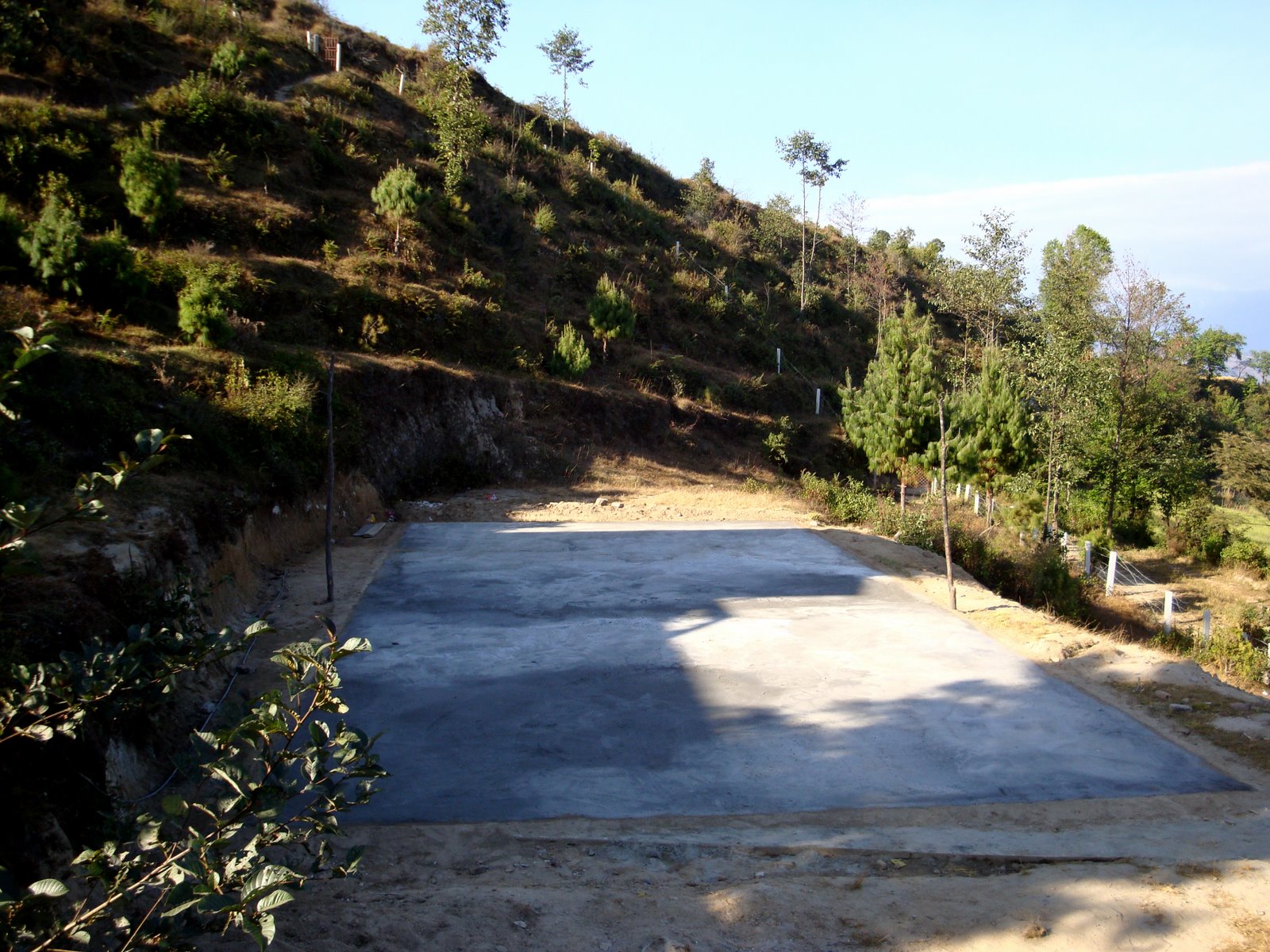 [DSC01225.JPG]