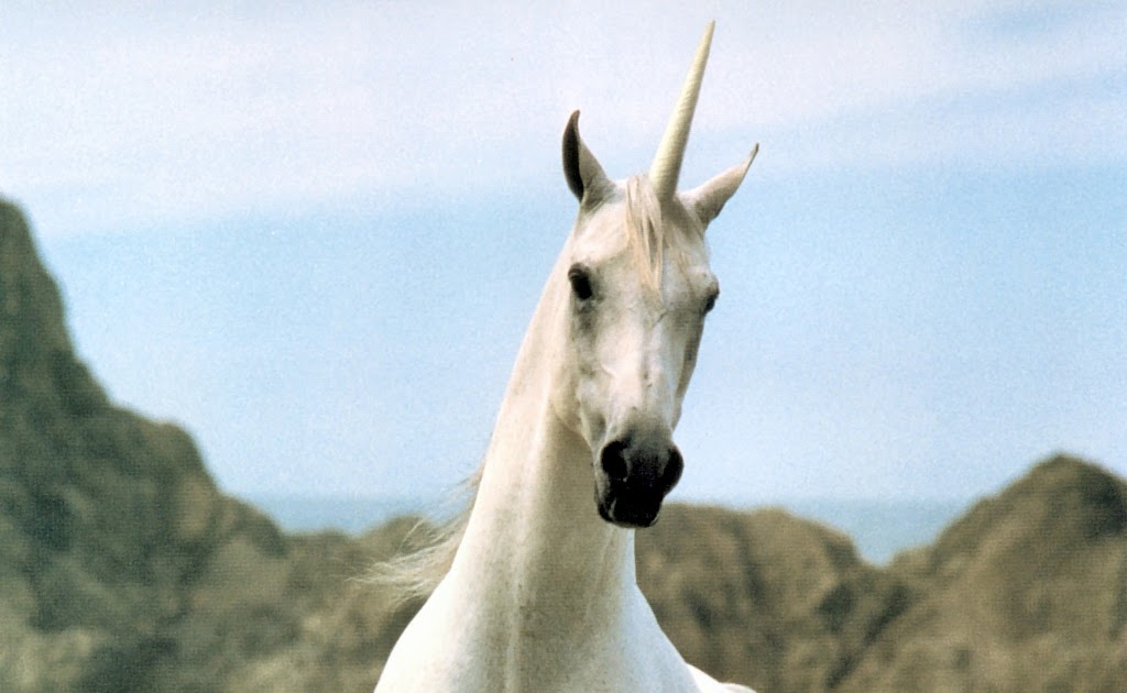Holly Clover's Blog: What Unicorns look like