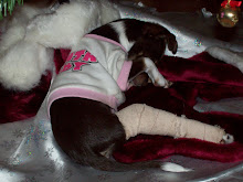 Bonnie-Bell's Boo-Boo