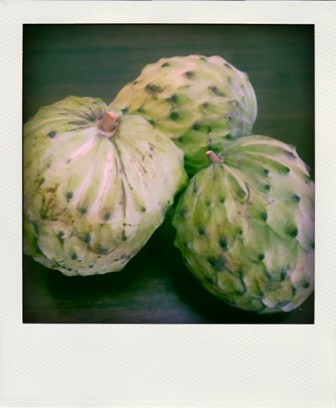 [DSCI0182-pola.jpg]